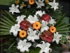 dscn1074